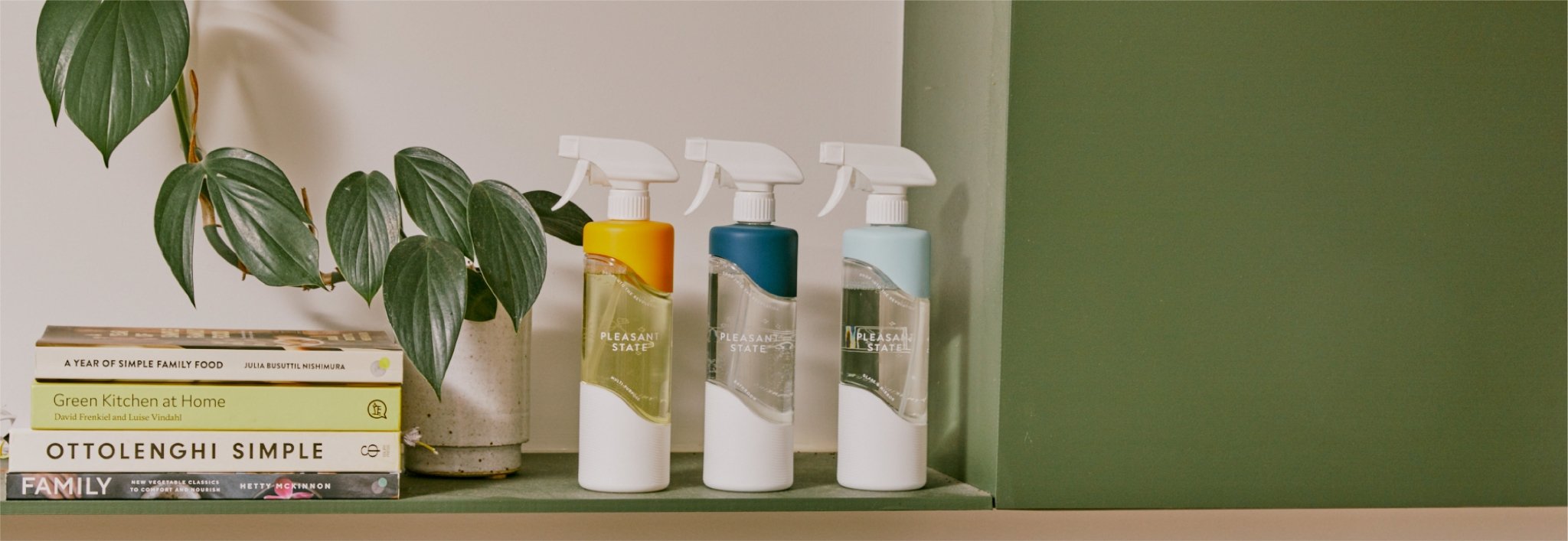 Eco-living that’s fun, realistic, and best of all – easy - Pleasant State