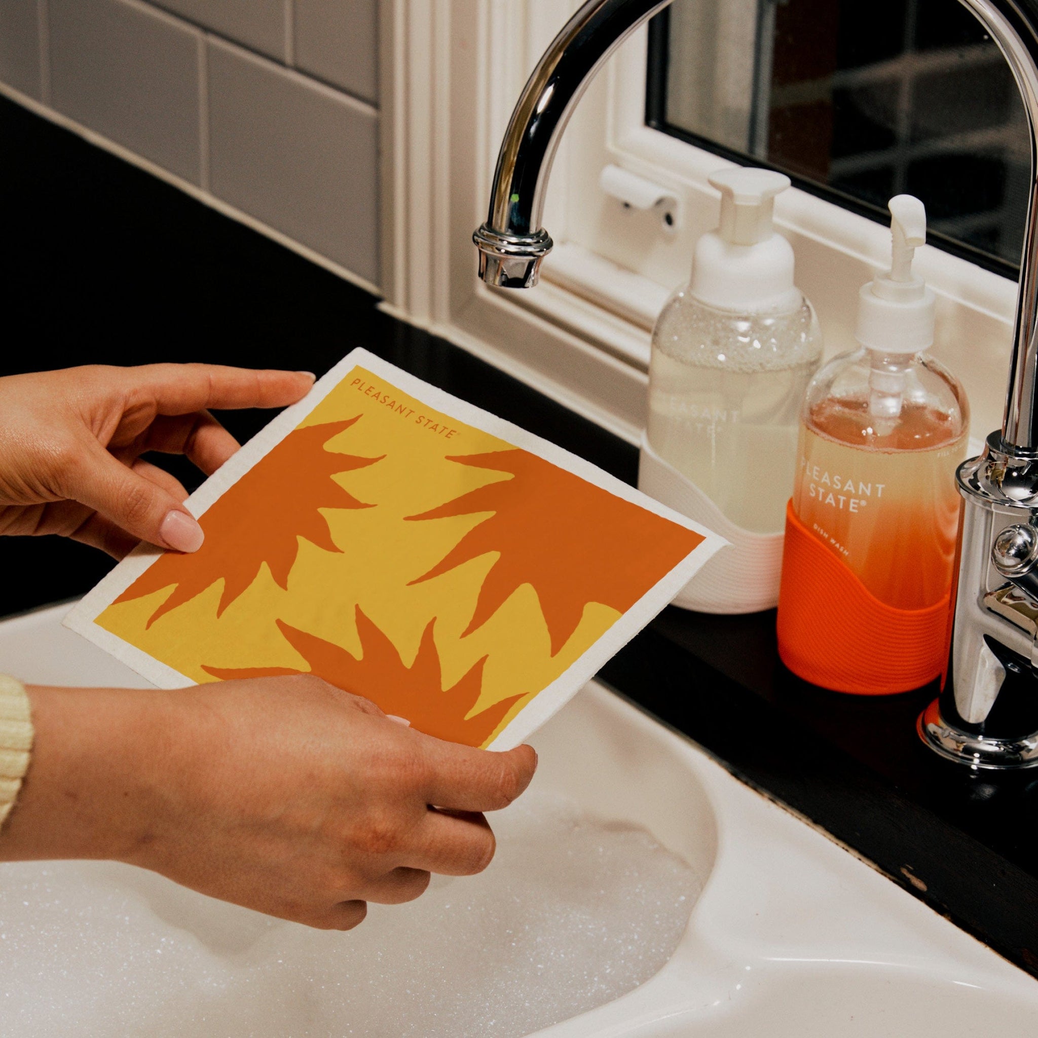 Australian NonToxic Dish Detergent Kit EcoFriendly Clean Pleasant